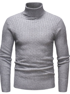 Plain Standard Turtleneck Casual Slim Herrtröja