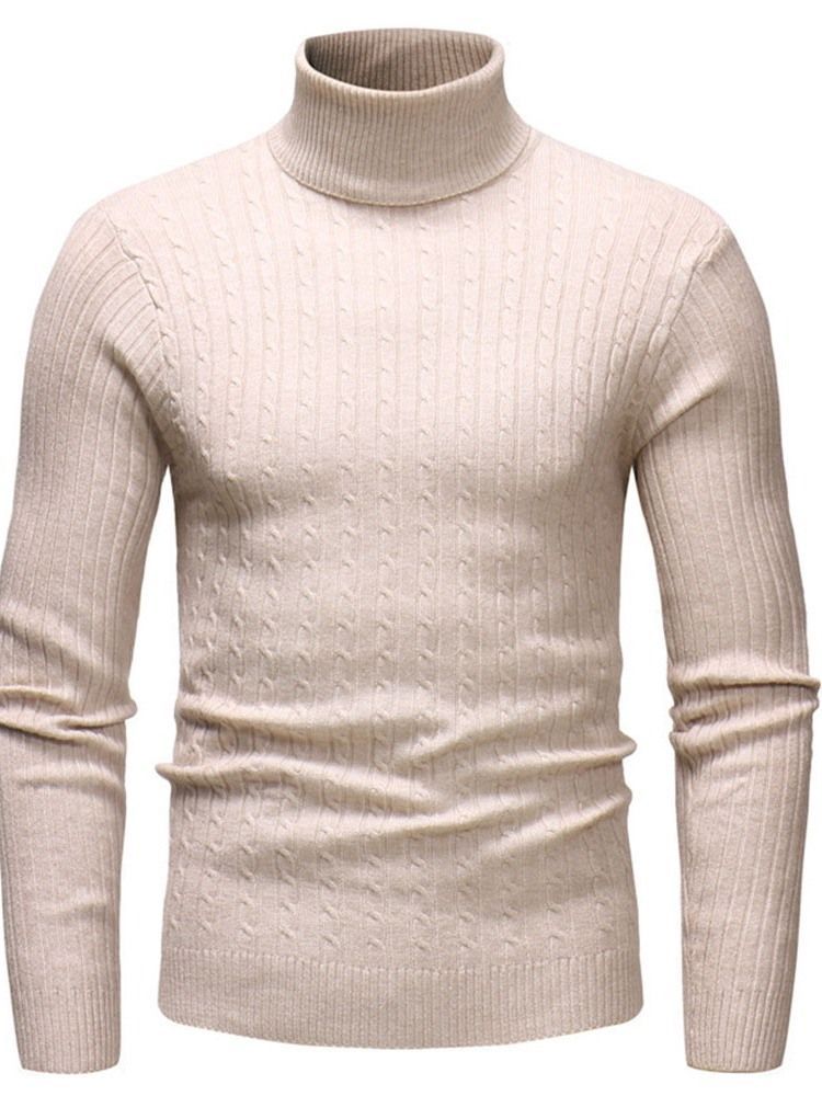 Plain Standard Turtleneck Casual Slim Herrtröja