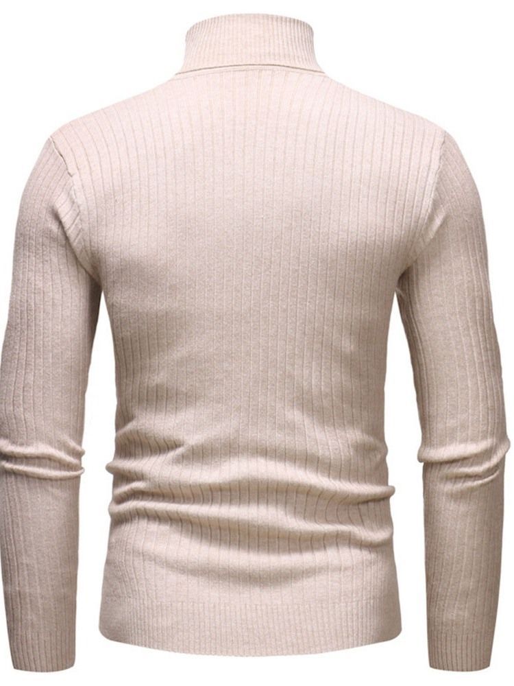 Plain Standard Turtleneck Casual Slim Herrtröja