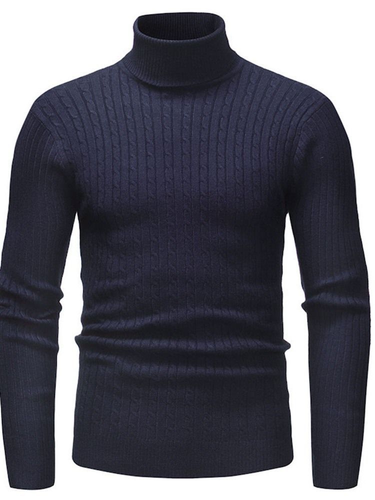 Plain Standard Turtleneck Casual Slim Herrtröja