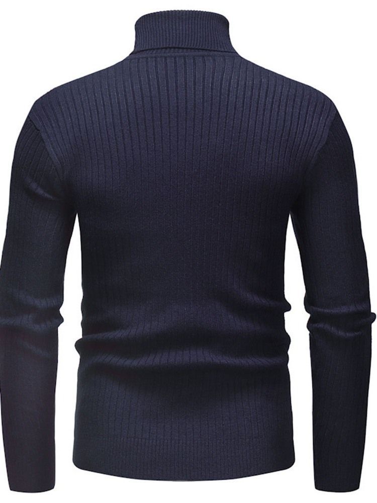 Plain Standard Turtleneck Casual Slim Herrtröja