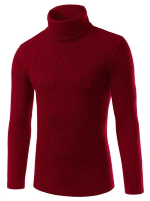 Plain Turtle Neck Slim Herrtröja