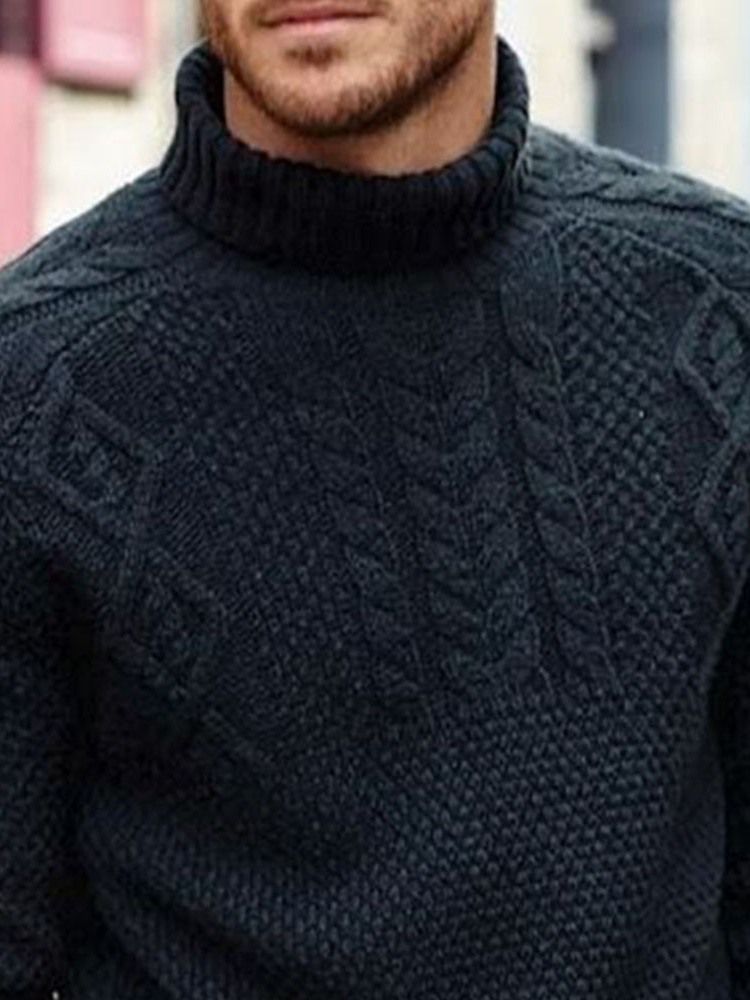 Plain Turtleneck Standard Avslappnad Herrtröja För Män