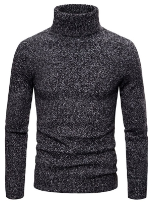 Plain Turtleneck Standard Casual Herrtröja