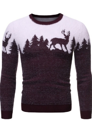 Round Neck Standard Animal Winter Slim Slim Tröja För Män