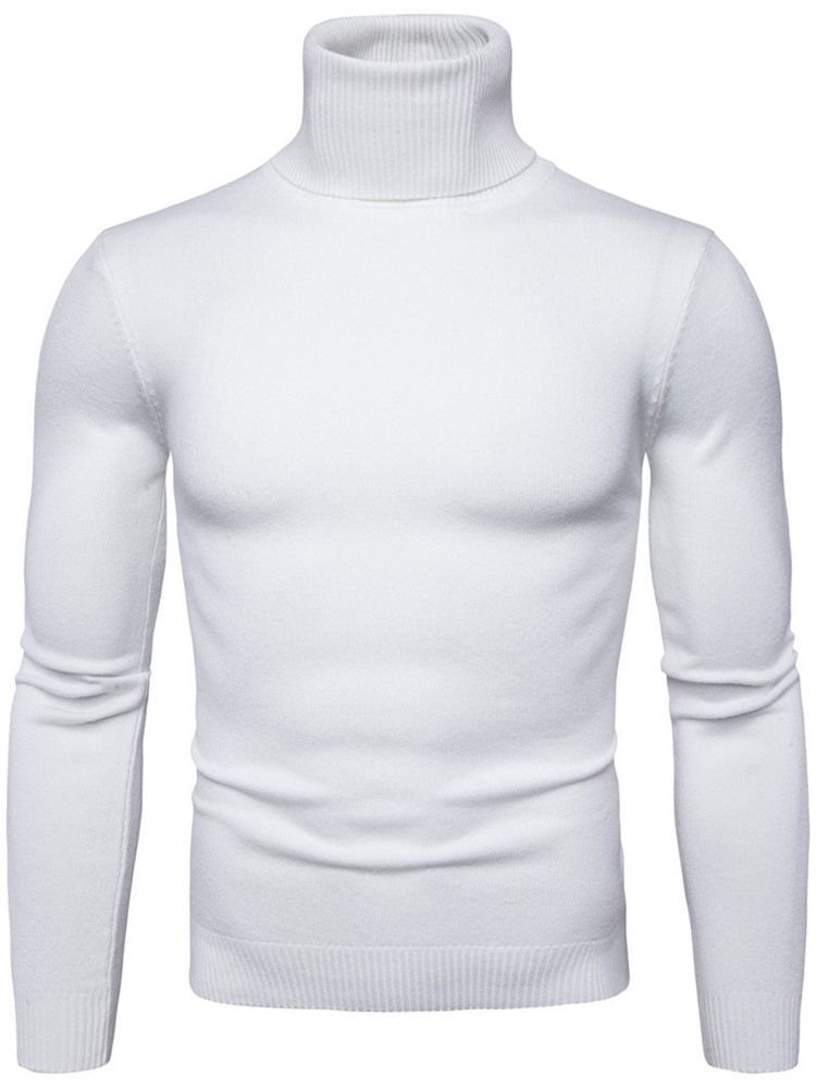 Turtleneck Plain Standard Slim Spring Herrtröja