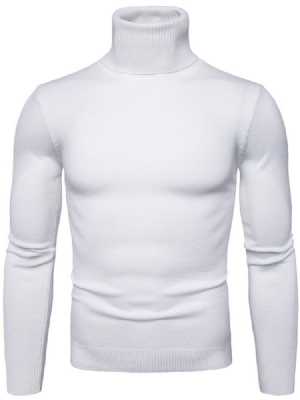 Turtleneck Plain Standard Slim Spring Herrtröja