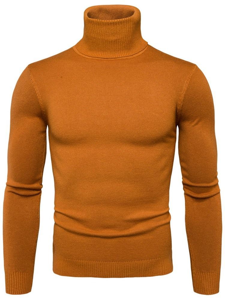 Turtleneck Plain Standard Slim Spring Herrtröja