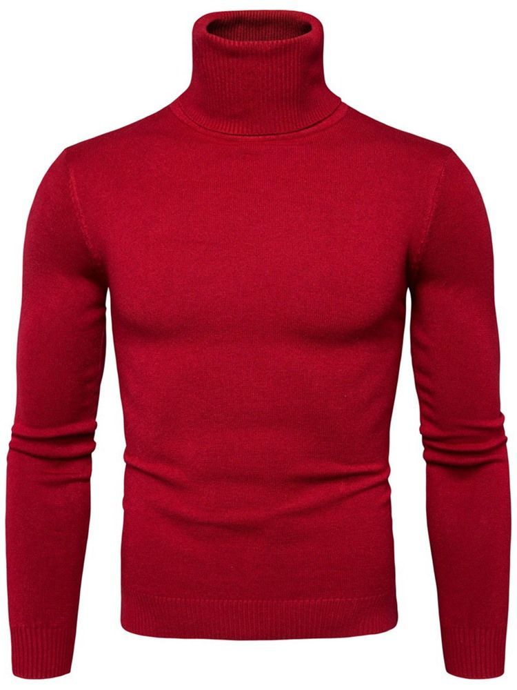 Turtleneck Plain Standard Slim Spring Herrtröja