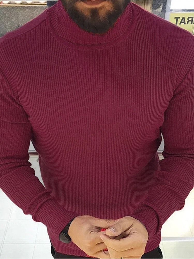 Turtleneck Plain Standard Winter Casual Herrtröja