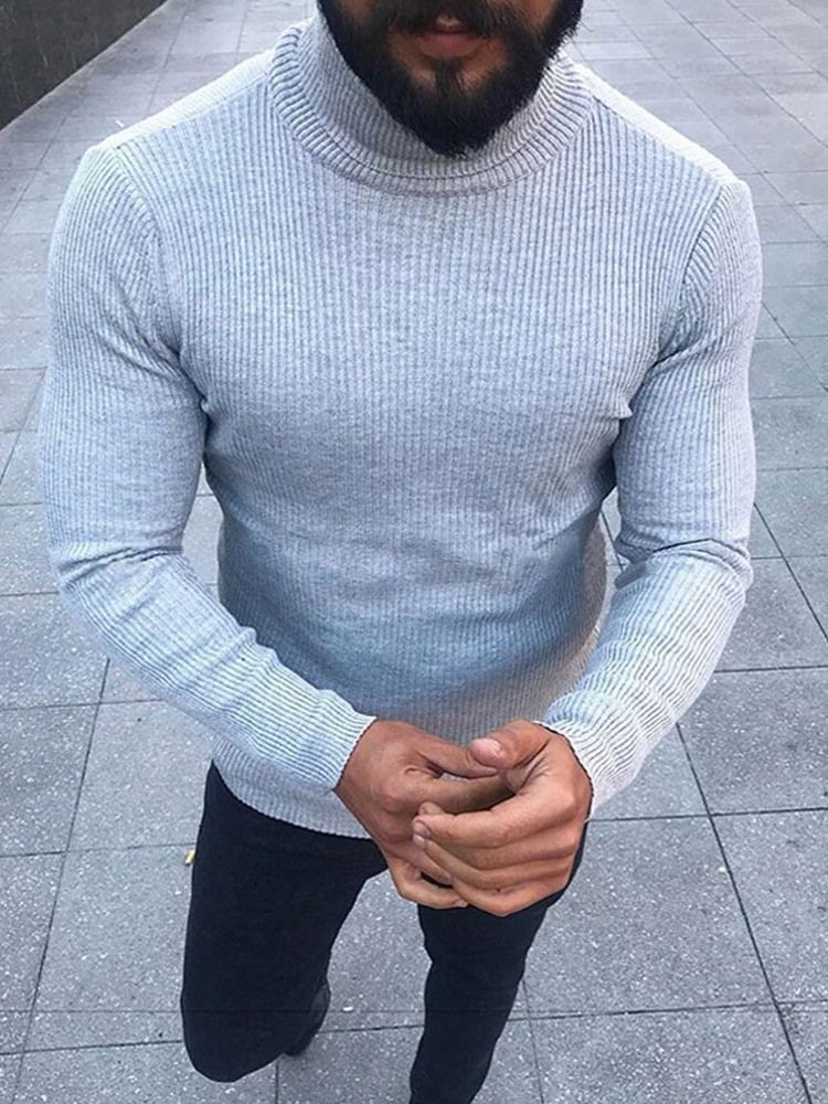 Turtleneck Plain Standard Winter Casual Herrtröja