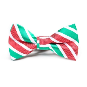 Christmas Style Men Tie