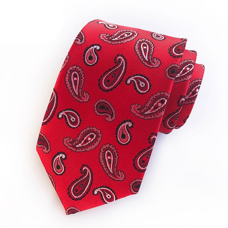 Herrföretag Paisley Tie For Man