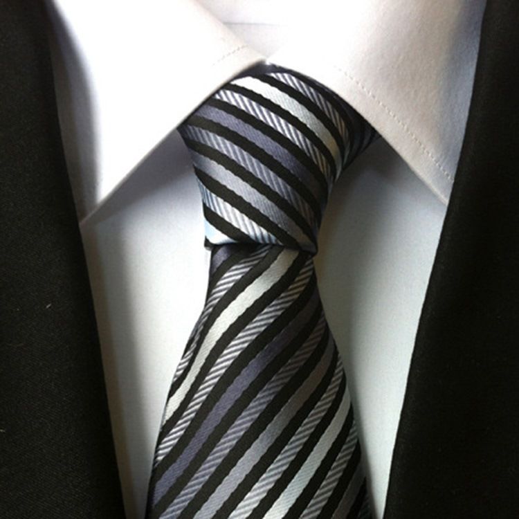 Herrföretag Stripe Paisley Tie For Man