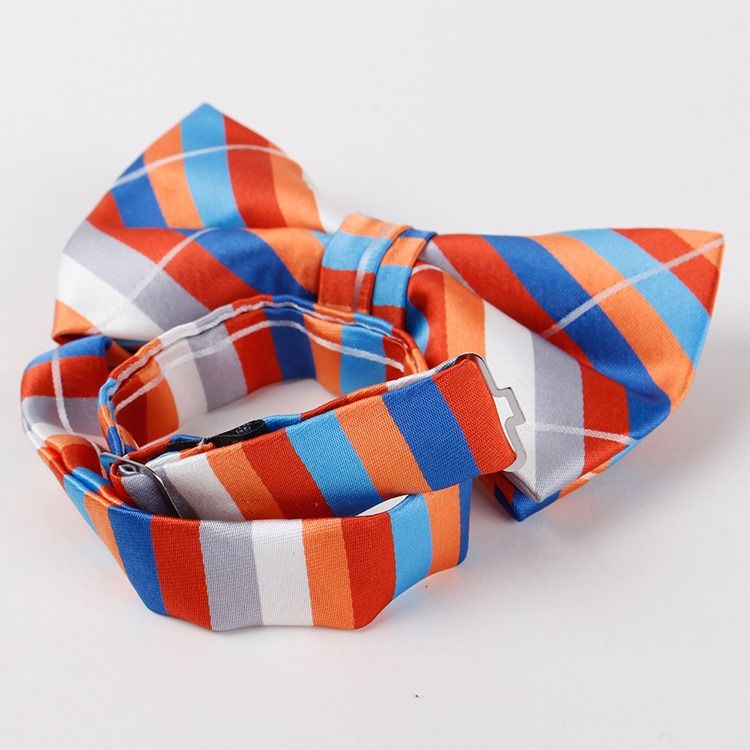 Polyester Bowtie För Män För Män