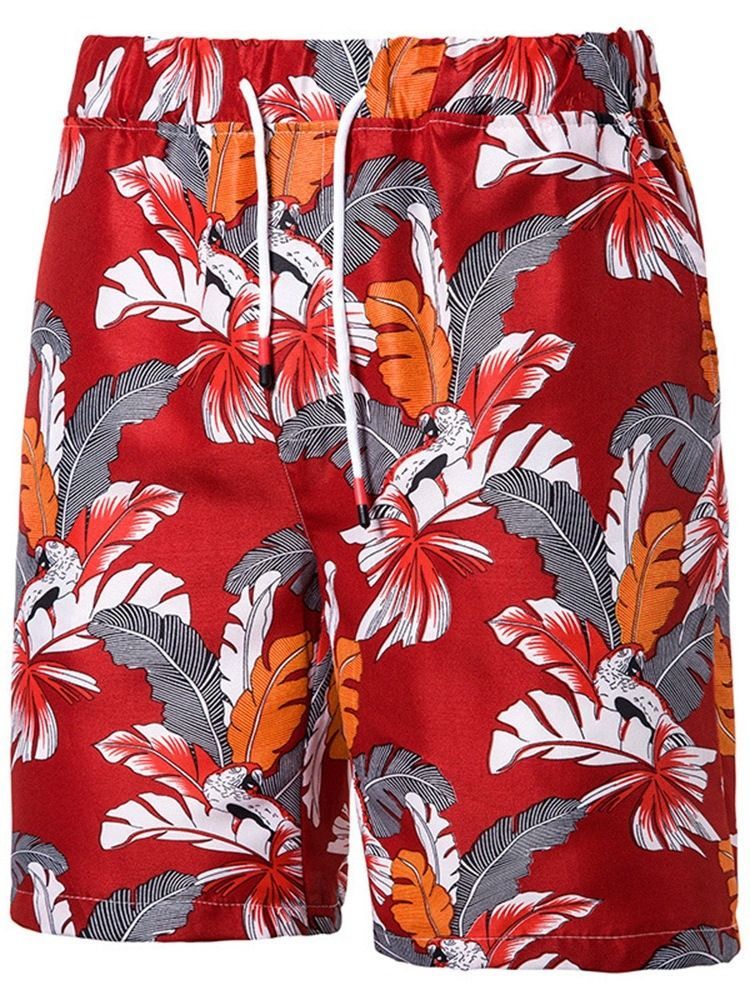 Print Plant Casual Snörning För Män Casual Shorts