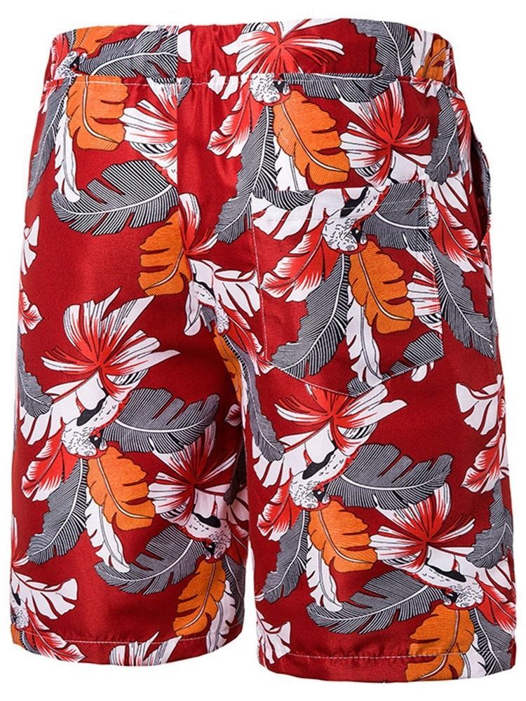 Print Plant Casual Snörning För Män Casual Shorts