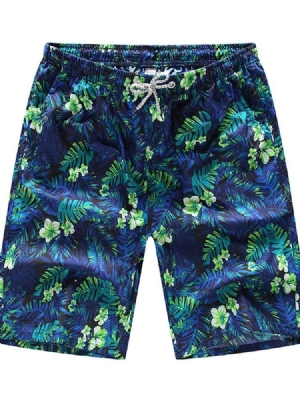 Straight Print Thin Lace-up Men's Shorts